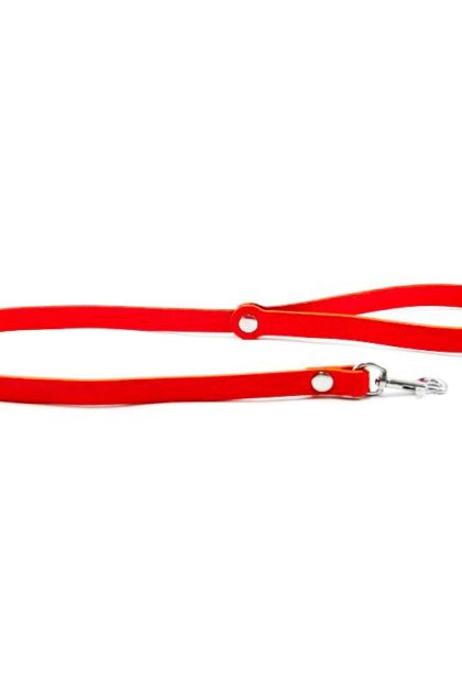 Laisse longue cuir Rouge