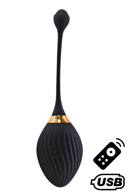 WAVE, Un ?uf vibrant noir USB avec télécommande, dans un silicone médical doux et lisse